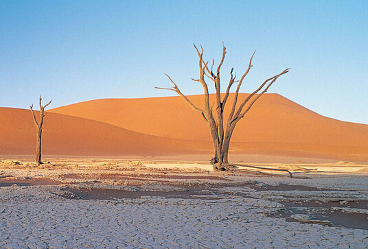 淡水危機(jī)迫在眉睫